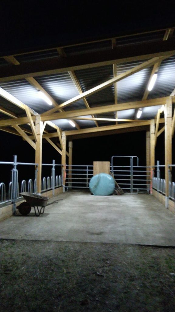 Beleuchtung eines Carportes